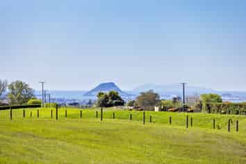 390 Hereford Road, Oropi