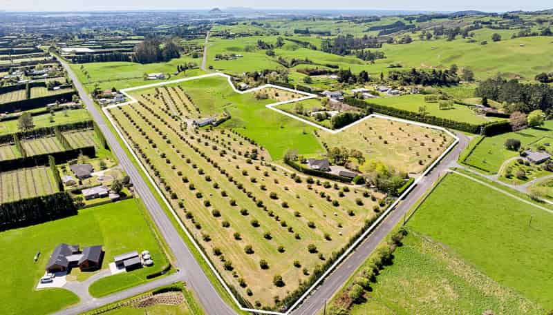 390 Hereford Road, Oropi