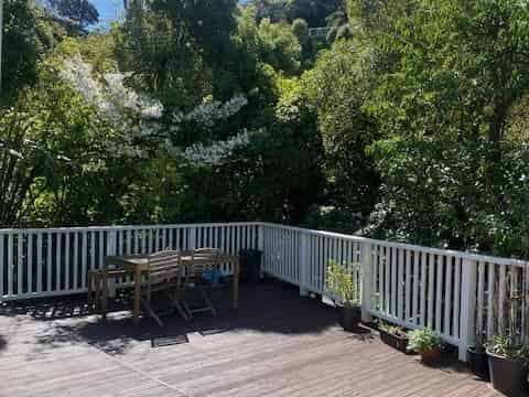 19 Crieff Street, Northland