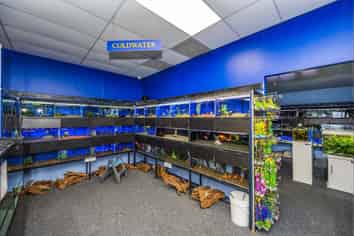 Proven investment, long-standing tenant since 2000