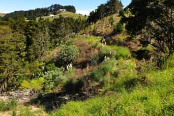 Lot 1/24 Kamea Place, Maungaturoto