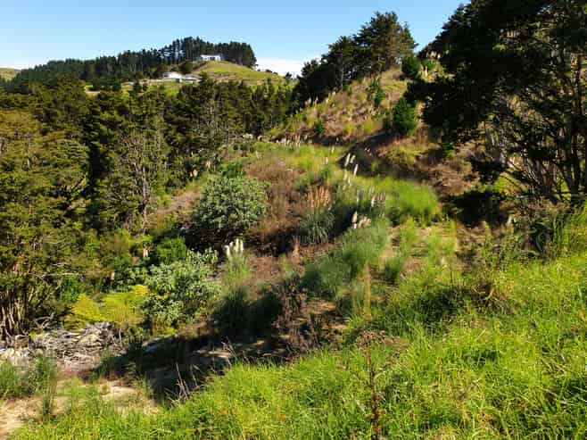 Lot 1/24 Kamea Place, Maungaturoto