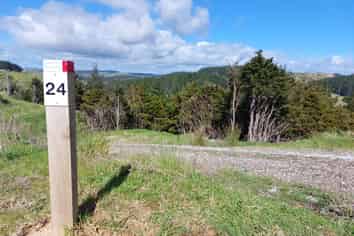 Lot 1/24 Kamea Place, Maungaturoto