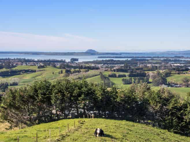345A Lindemann Road, Katikati