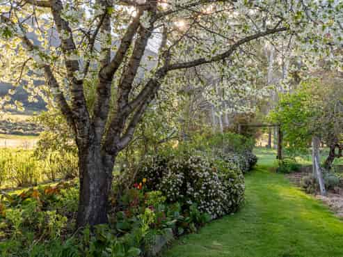 1341 Omarama-Lindis Pass Road, OMARAMA