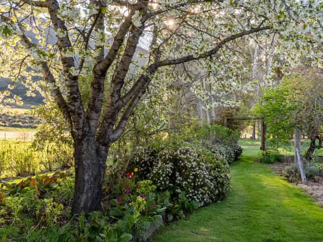 1341 Omarama-Lindis Pass Road, OMARAMA