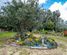 1428 Sandhills Road, Ahipara, Far North, Northland