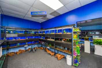 High Profile Trade/Retail - One Tenant since 2000!