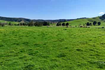  Matakana Valley Road, Matakana
