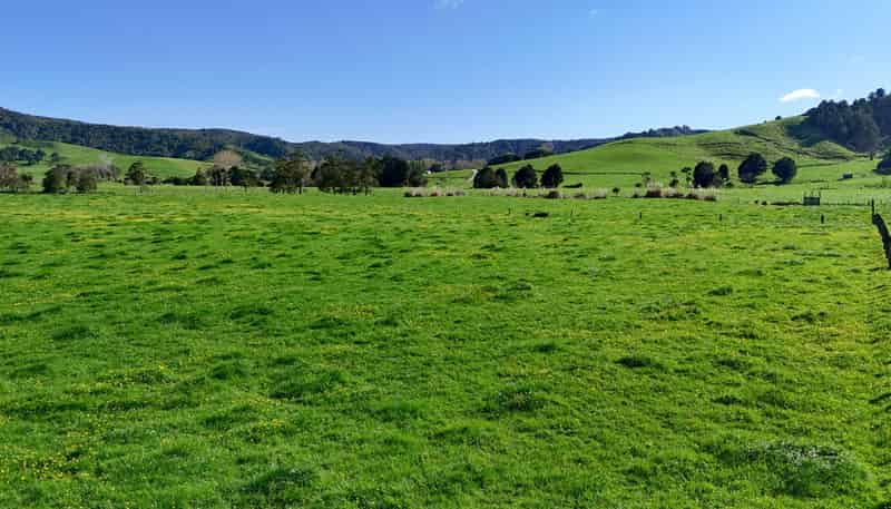  Matakana Valley Road, Matakana