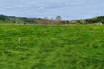  Matakana Valley Road, Matakana