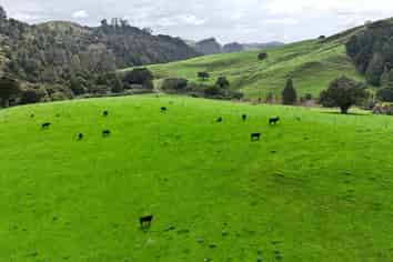 325 Haruru Road, Kaukapakapa