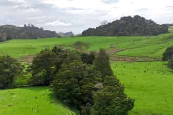 325 Haruru Road, Kaukapakapa