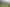 Coromandel - Address withheld