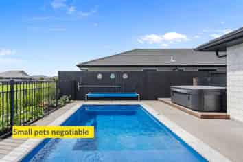 15 Stevenson Drive, Papamoa