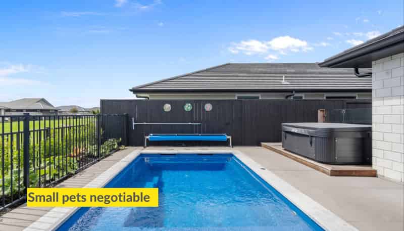 15 Stevenson Drive, Papamoa