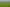 70 Kiwi Road, Pirongia