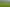 70 Kiwi Road, Pirongia