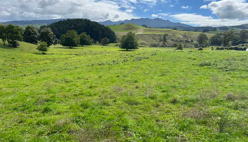 70 Kiwi Road, Pirongia
