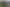 70 Kiwi Road, Pirongia