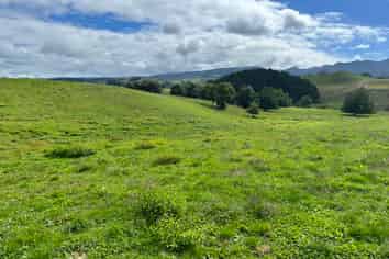 70 Kiwi Road, Pirongia