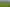 70 Kiwi Road, Pirongia
