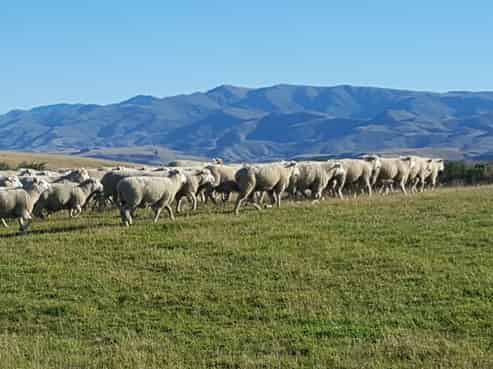 659 Ritchie Road, Dunback