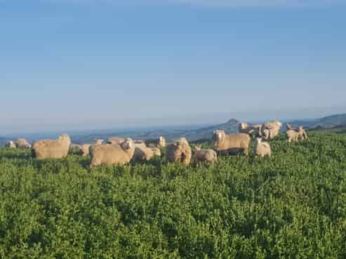 659 Ritchie Road, Dunback