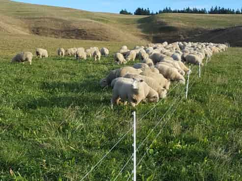 659 Ritchie Road, Dunback