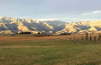 659 Ritchie Road, Dunback