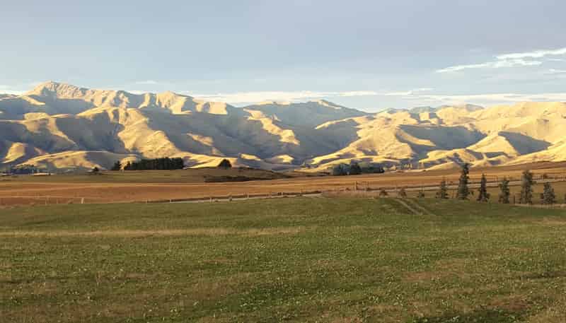 659 Ritchie Road, Dunback
