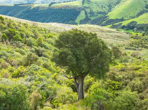 1301 Western Valley Road, Port Levy