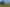 Auckland - Address withheld