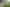 Waikato - Address withheld