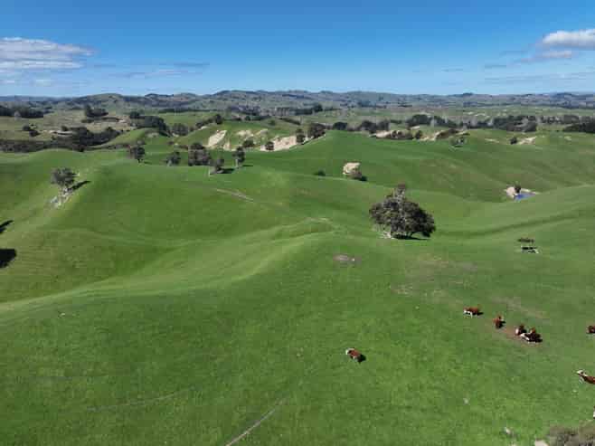 2829 Puketitiri Road, Patoka
