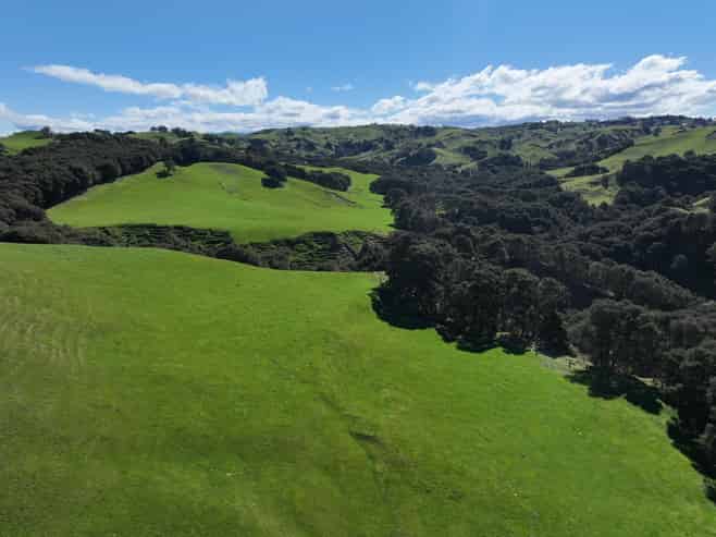 2829 Puketitiri Road, Patoka