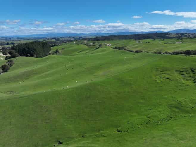 2829 Puketitiri Road, Patoka