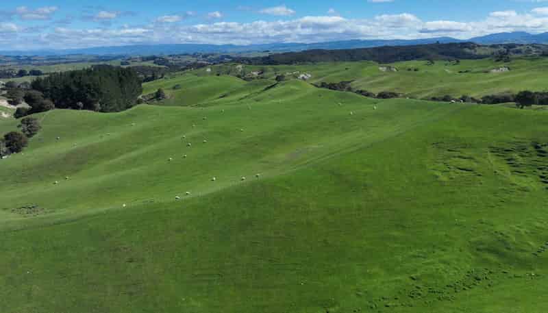 2829 Puketitiri Road, Patoka