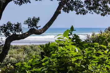 59 North Piha Road, Piha