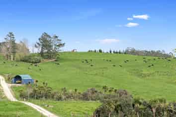 26 Bailey Road, Wellsford