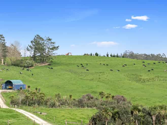 26 Bailey Road, Wellsford