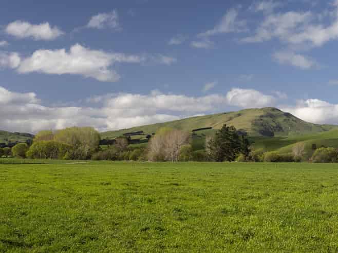 139 Stuart Road, Masterton