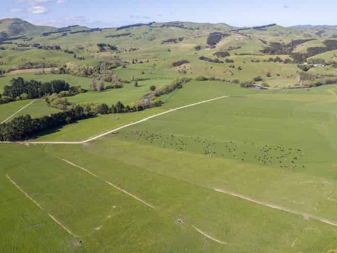 139 Stuart Road, Masterton