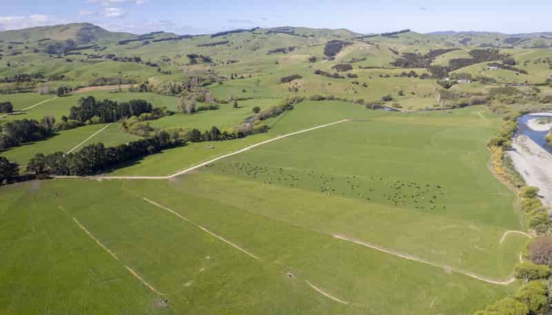 139 Stuart Road, Masterton