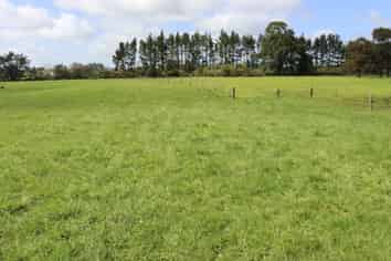 828 Hursthouse Road, Inglewood