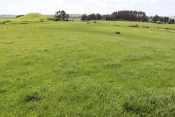 828 Hursthouse Road, Inglewood