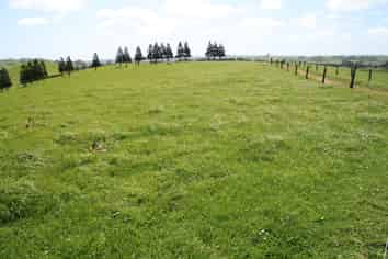 828 Hursthouse Road, Inglewood