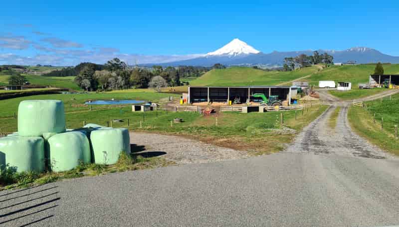801 Mangorei Road, Mangorei