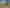 700 Tamatea Street, Mahora