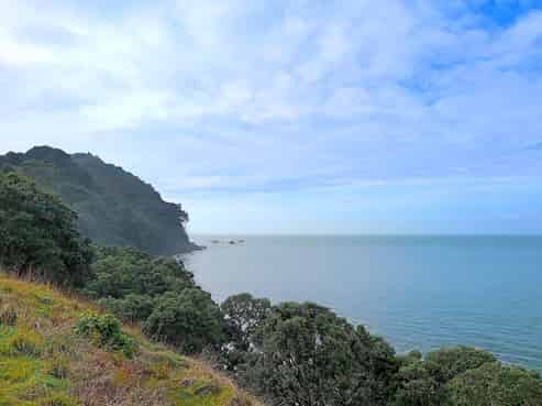 820 Thames Coast Road, Tapu